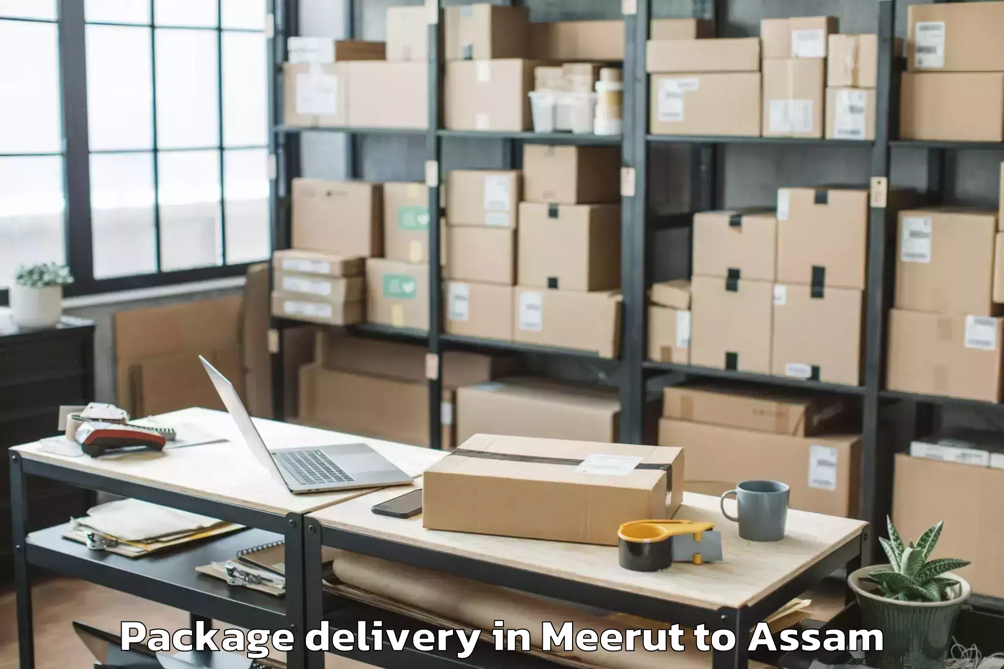 Trusted Meerut to Baganpara Package Delivery